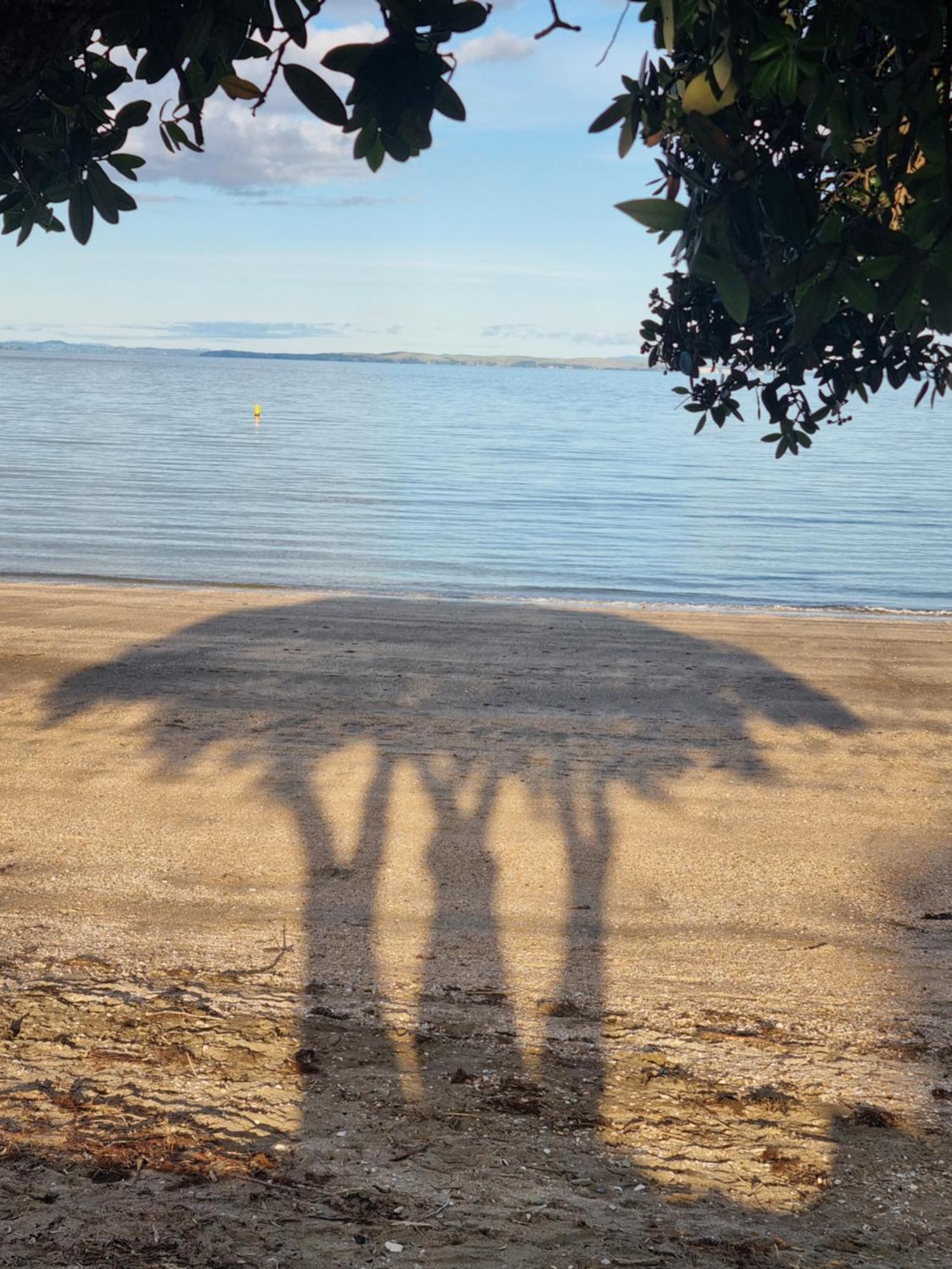 Beachfront Beauty Whangaparaoa Εξωτερικό φωτογραφία